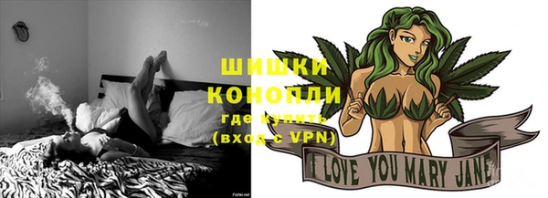 винт Богданович