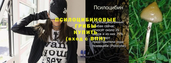 винт Богданович
