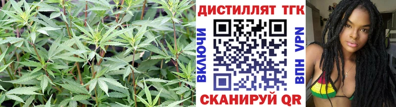 Дистиллят ТГК Wax  Краснознаменск 