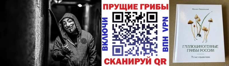 Псилоцибиновые грибы Psilocybine cubensis Краснознаменск